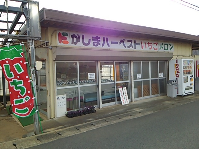 かしまハーベスト
