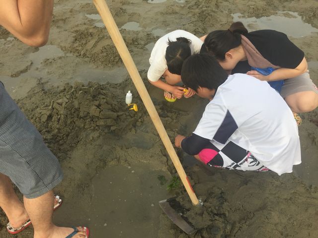 有明浜潮干狩り