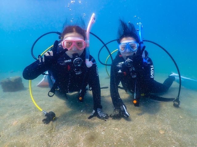 水中世界を楽しもう!ダイビングはあなたの世界を大きく広げます。_ダイビングスクール アクアリウム・エス