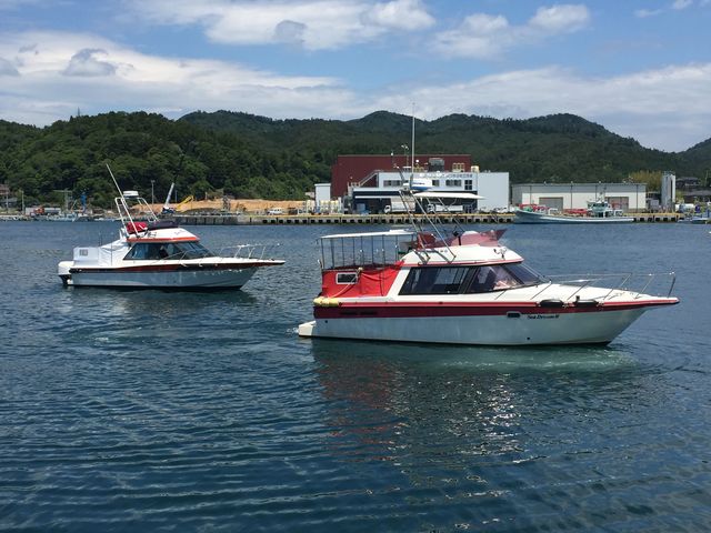 金華山フェリー株式会社