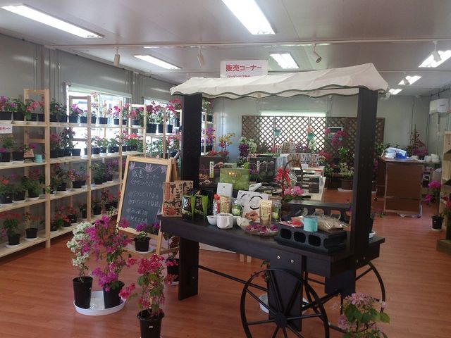 ブーゲンハウス嬉野