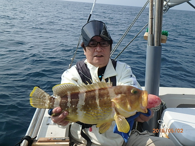 アオハタ(アオナ)_FishingBoat 瑠璃