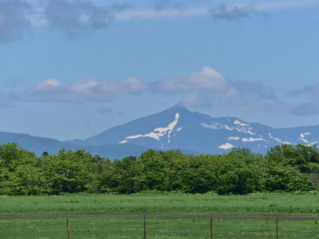 遠音別岳の見返りキツネ
