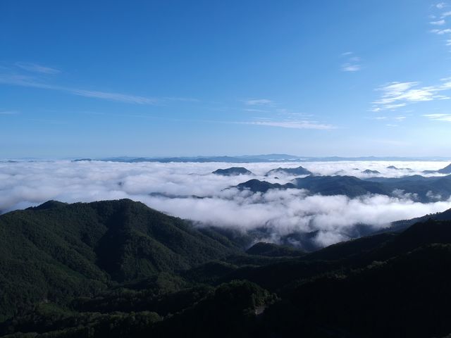 標高が高く夏は快適
隠れ雲海・星空スポット_フォレストアドベンチャー・丹波ささやま