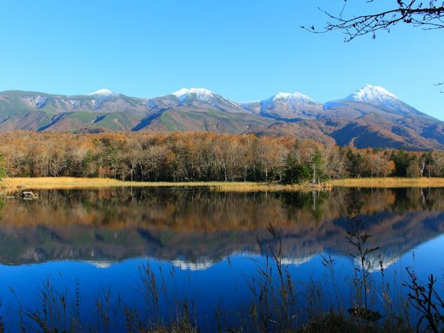 冠雪した知床連山と紅葉の知床五湖_知床の森のガイド ゆらり