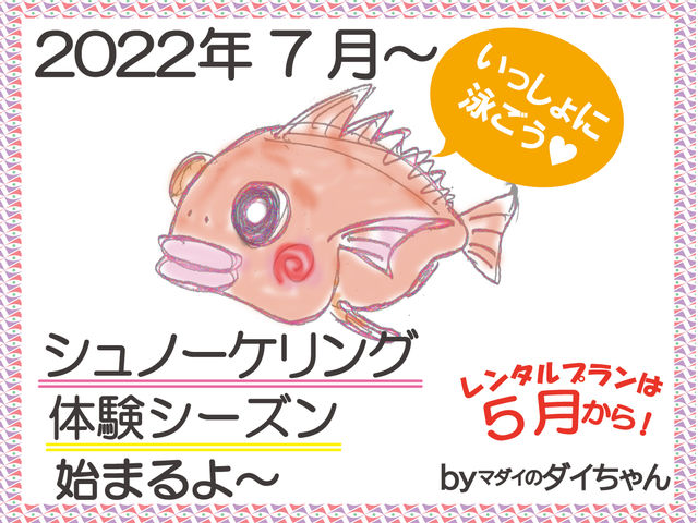 シュノーケリング・体験ダイビングは7月から開始します♪_黄金崎ダイブセンター