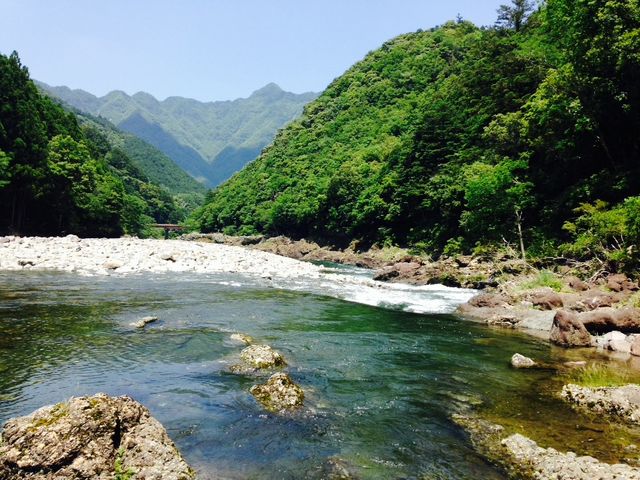 ☆川まで階段降りたらすぐ☆_花、、、咲くところ