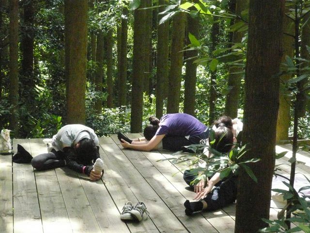 ガンコ山ツリーハウスヴィレッジ