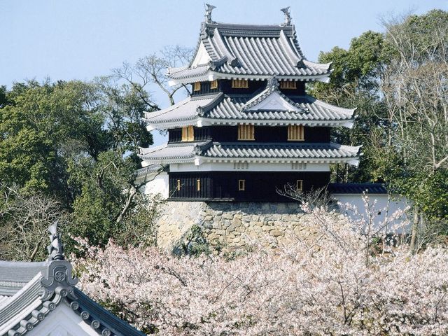 西尾六万石の象徴!西尾市歴史公園 西尾城です。_西尾市観光協会