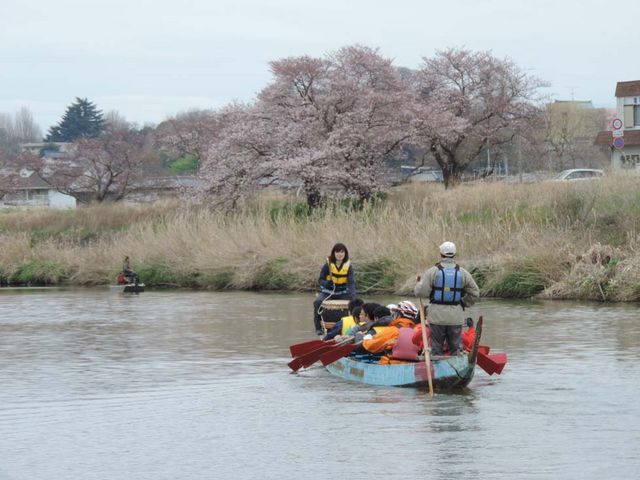 ドラゴンボートでお花見_NPO法人 エコミュゼ美浦 緑と湖自然学校