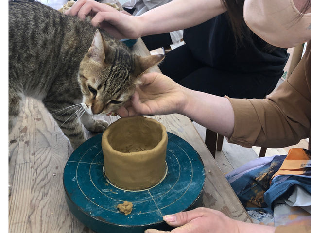 陶工房こもん堂