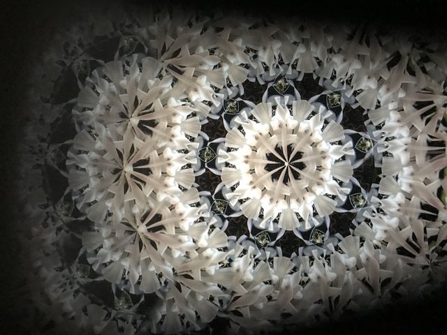 世田谷ステンドグラス美/まんげ鏡や