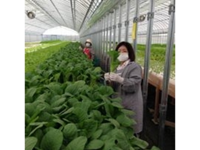 てしお夢ふぁーむ 桑名木曽岬農場