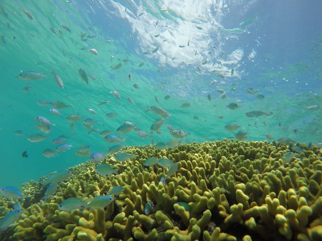はての浜ロイヤルマリン