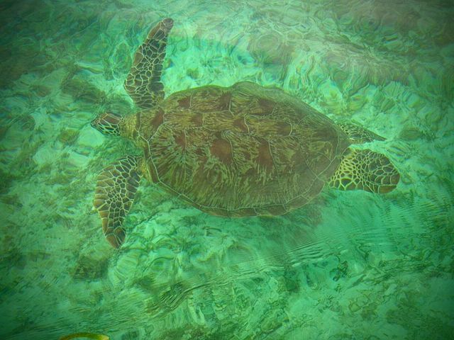 はての浜ロイヤルマリン