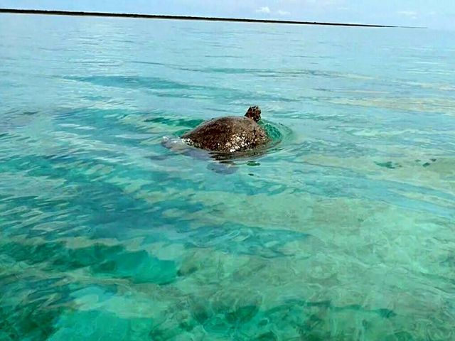 はての浜ロイヤルマリン