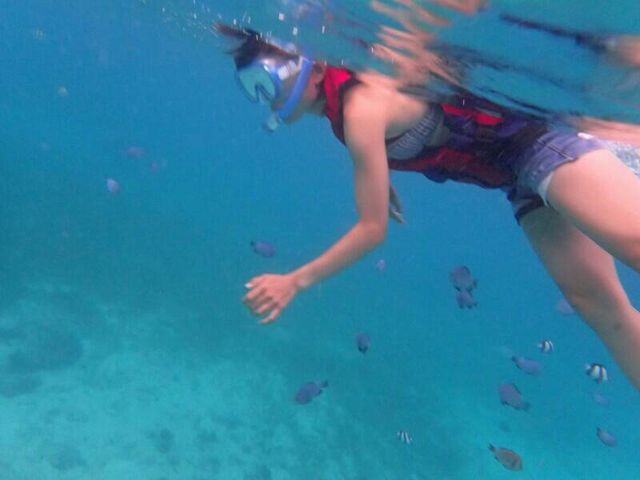 はての浜ロイヤルマリン