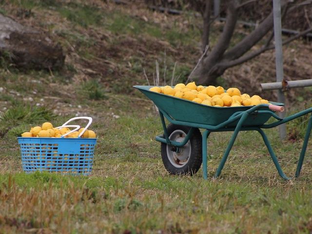FARMaSEA GARDEN URAGA