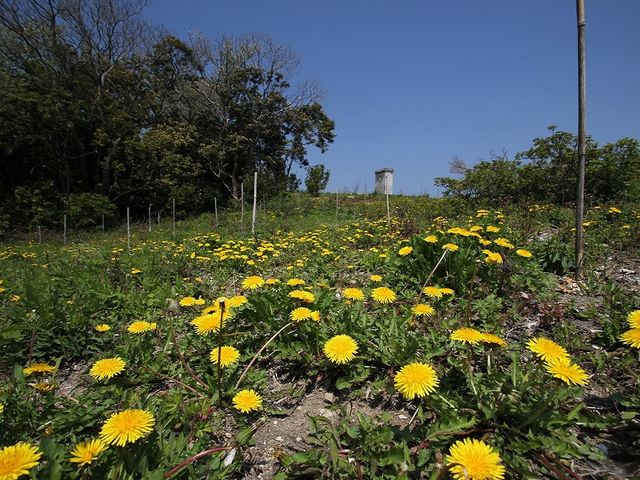 FARMaSEA GARDEN URAGA
