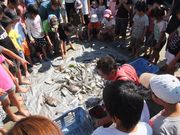 おたから博の写真2