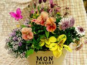 おたから博の写真4