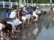 田舎日記の写真2