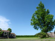 田舎日記の写真3