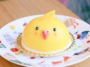 ことりカフェ表参道の写真2