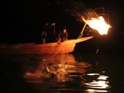 小瀬鵜飼の写真3