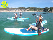 ビーチファンの写真4