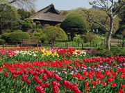 秩父宮記念公園の写真4