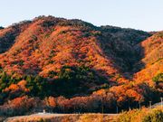 神戸天空温泉 銀河の湯(みのたにグリーンスポーツホテル)の写真2