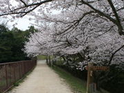 奧須磨公園の写真2