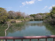 奧須磨公園の写真3