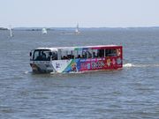 霞ヶ浦ダックツアーの写真2