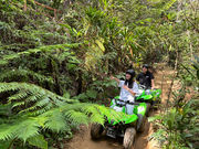 ヤンバルンチャーの写真2