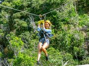 ヤンバルンチャーの写真3