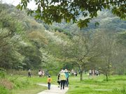 山田緑地の写真1