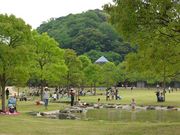 山田緑地の写真3