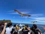 小樽青の洞窟クルーズの写真4