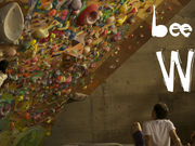 beemeeneeWaBoclimbingwallの写真4