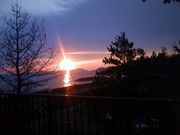 伊勢ヤギふぁ〜むの写真2