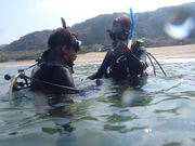 オフィス海あそび!ダイバージェントの写真2