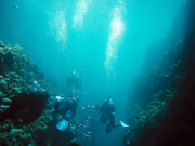 オフィス海あそび!ダイバージェントの写真3