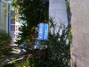 美ら海ダイバーズの写真2