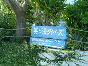 美ら海ダイバーズの写真3