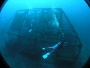 アトリエラウトの写真3