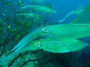 アトリエラウトの写真2