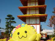 たけふ菊人形の写真3