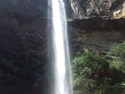 西表自然学校の写真3